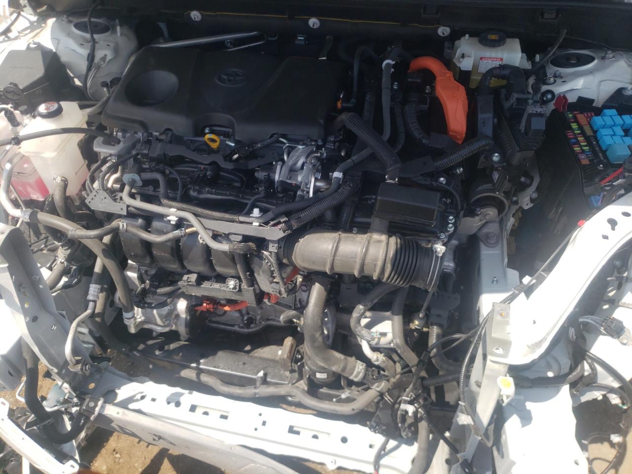 Photo 7 from auction – 2019 TOYOTA RAV4 XSE with VIN JTMEWRFV2KD517727