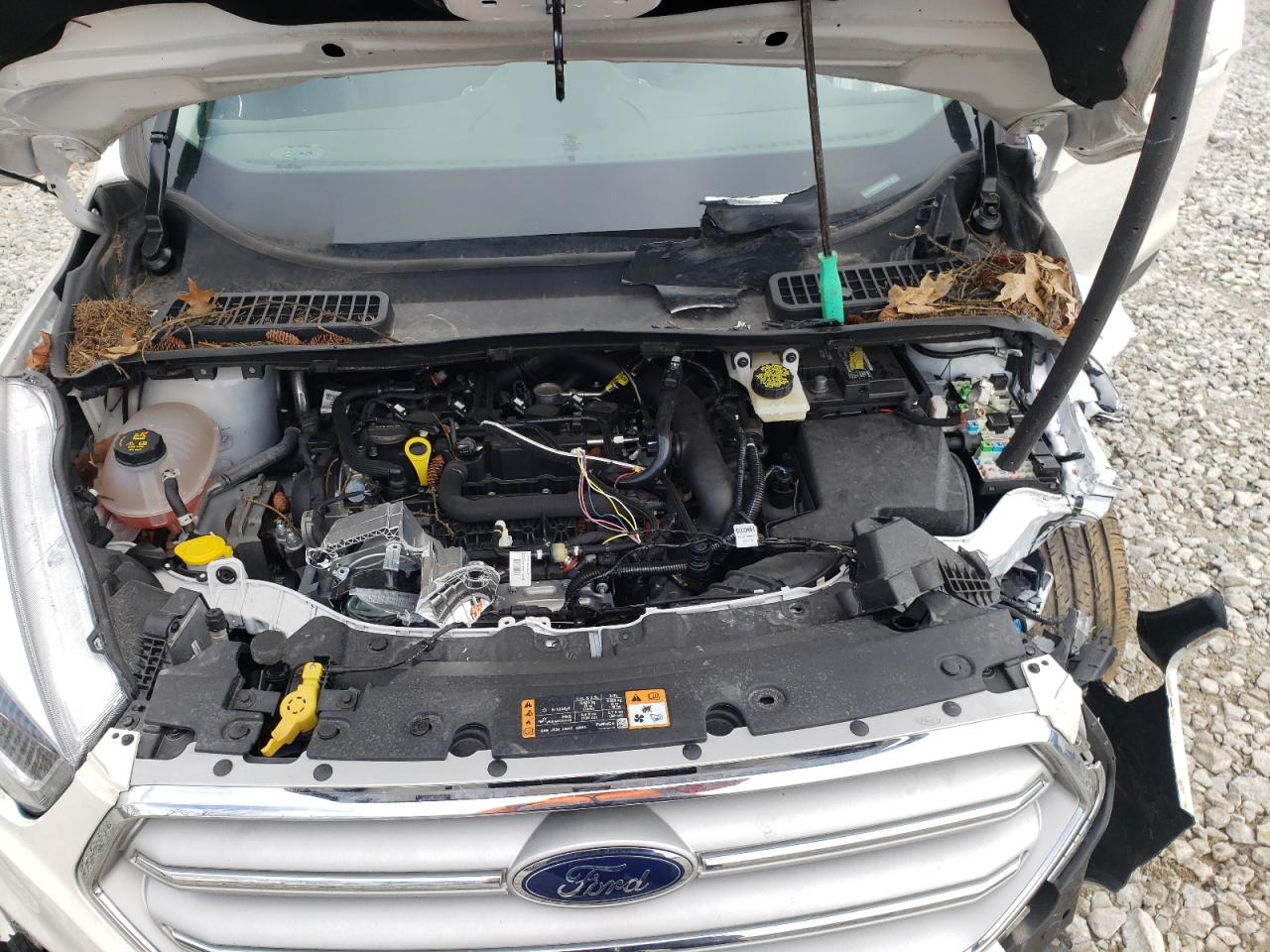 Photo 7 from auction – 2019 FORD ESCAPE SEL with VIN 1FMCU9HD2KUB76746