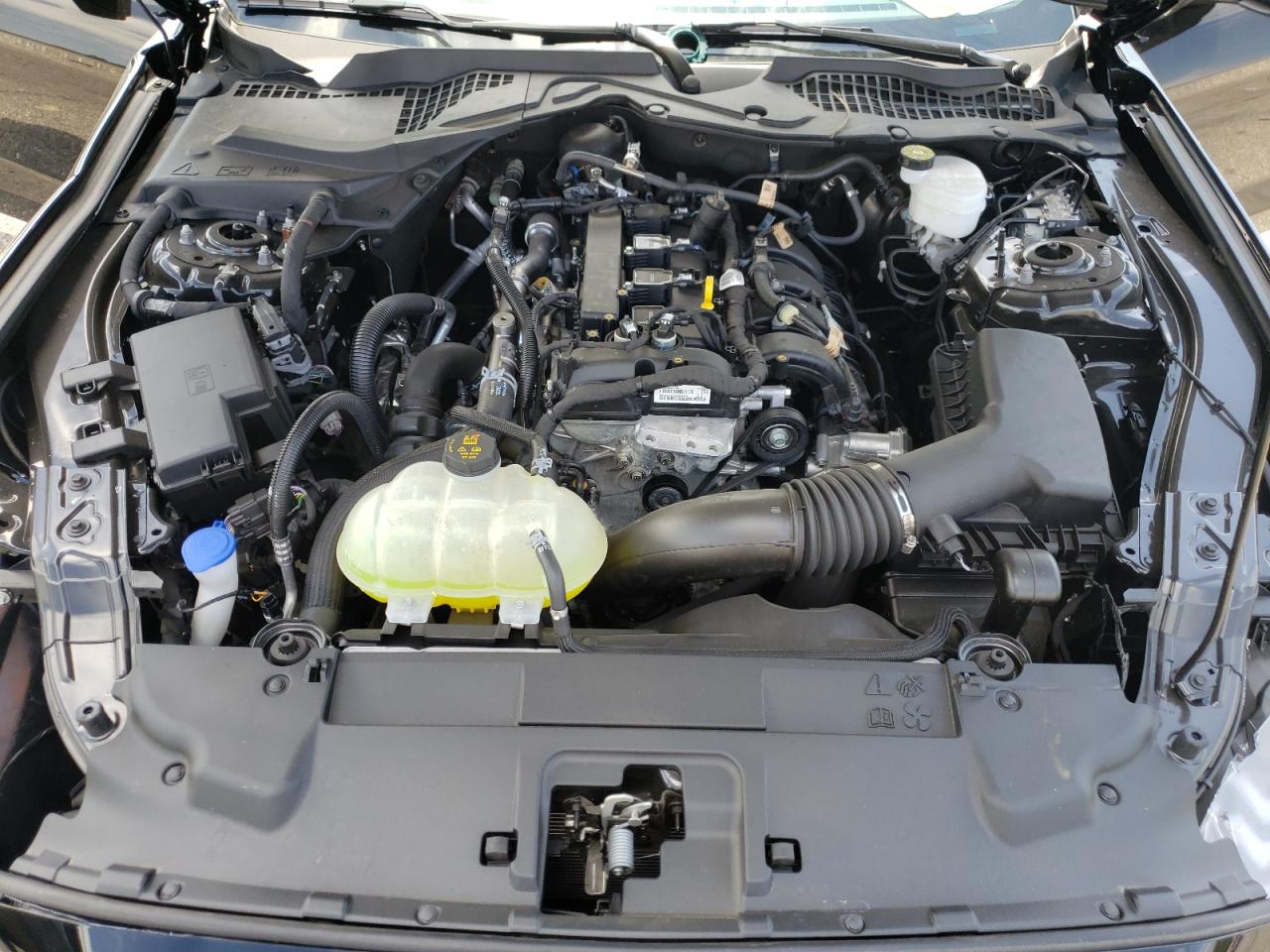 Photo 7 from auction – 2021 FORD MUSTANG with VIN 1FA6P8TH2M5156142