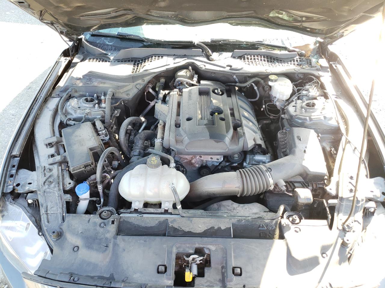 Photo 7 from auction – 2020 FORD MUSTANG with VIN 1FA6P8TH7L5141487