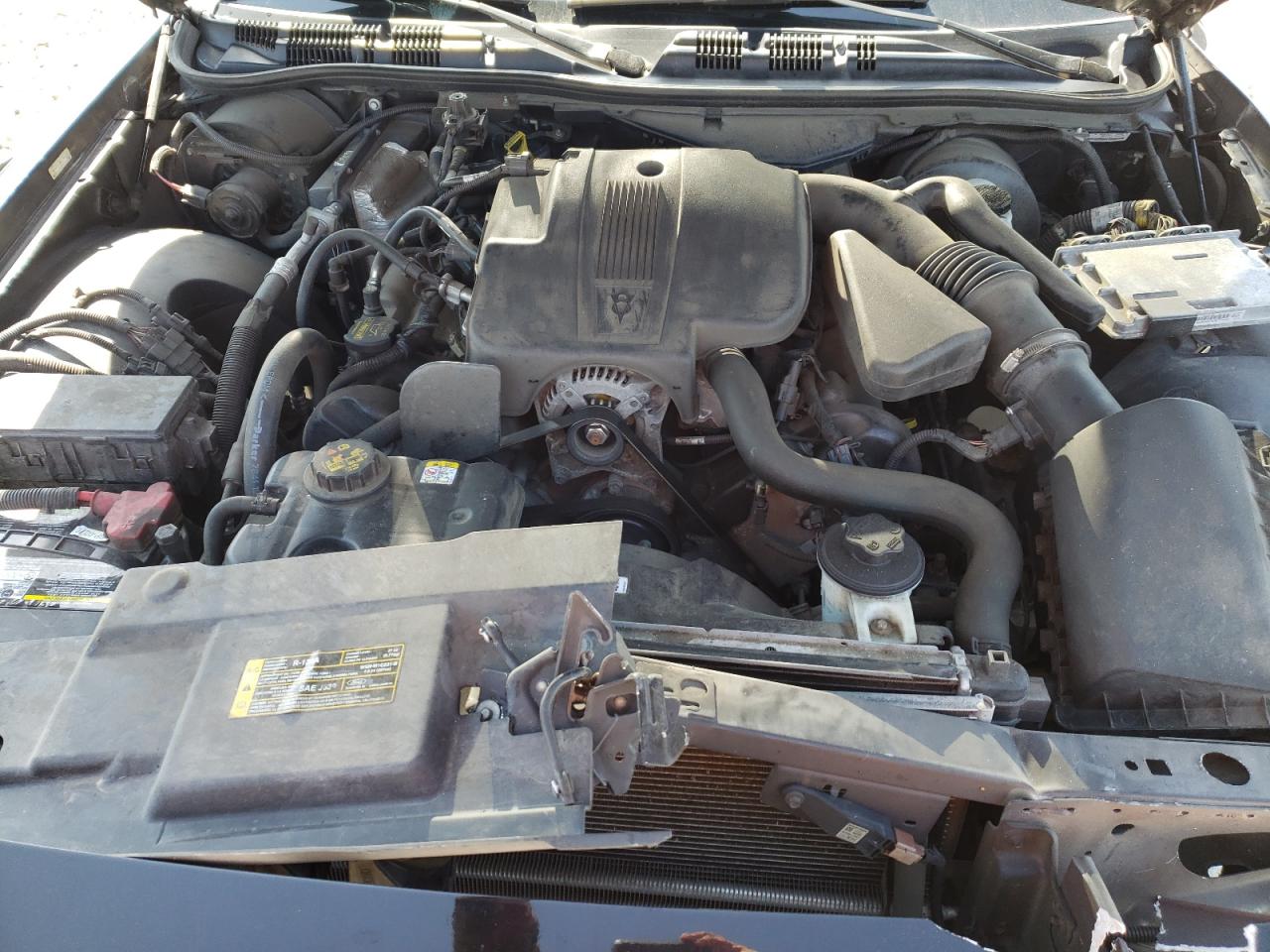 Photo 7 from auction – 2011 FORD CROWN VICT with VIN 2FABP7EV9BX174869