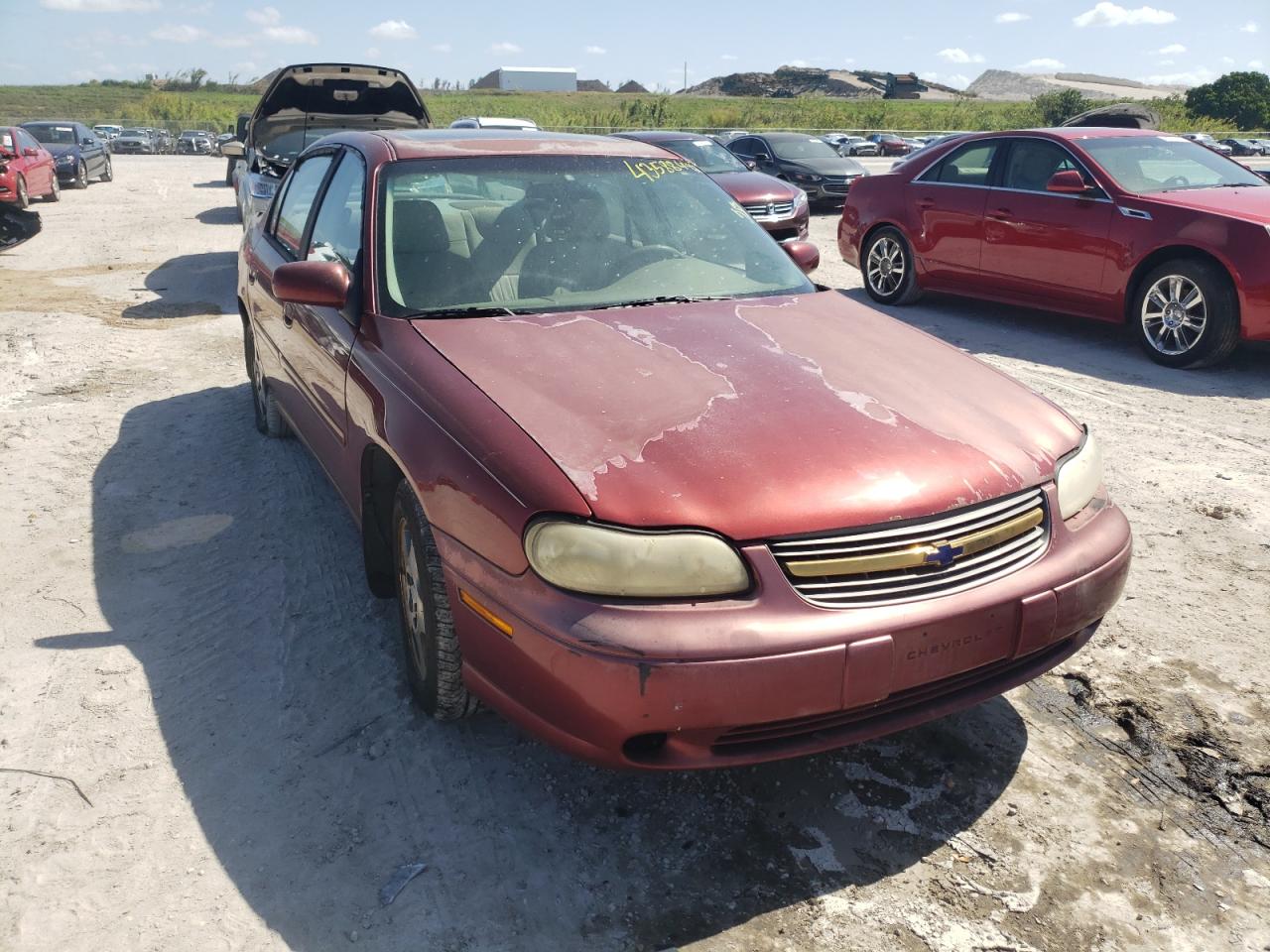 CHEVROLET MALIBU LS 2002 with VIN 1G1NE52J92M728009 - Photo from auction