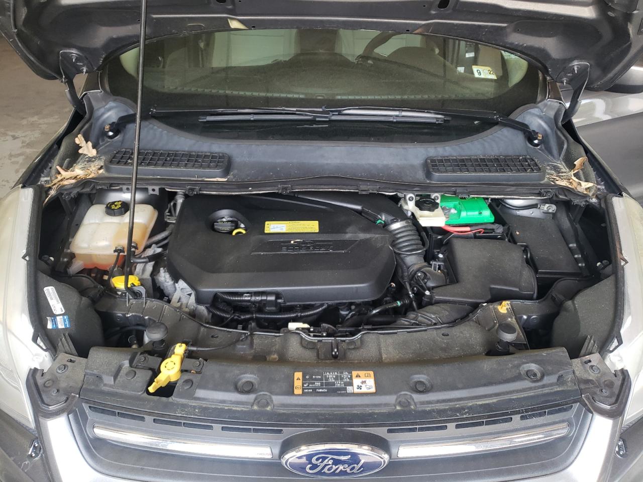 Photo 7 from auction – 2014 FORD ESCAPE SE with VIN 1FMCU0GX5EUA73252