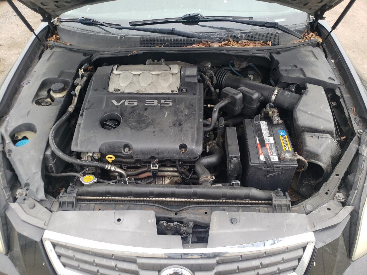 Photo 7 from auction – 2008 NISSAN MAXIMA SE with VIN 1N4BA41E18C813189