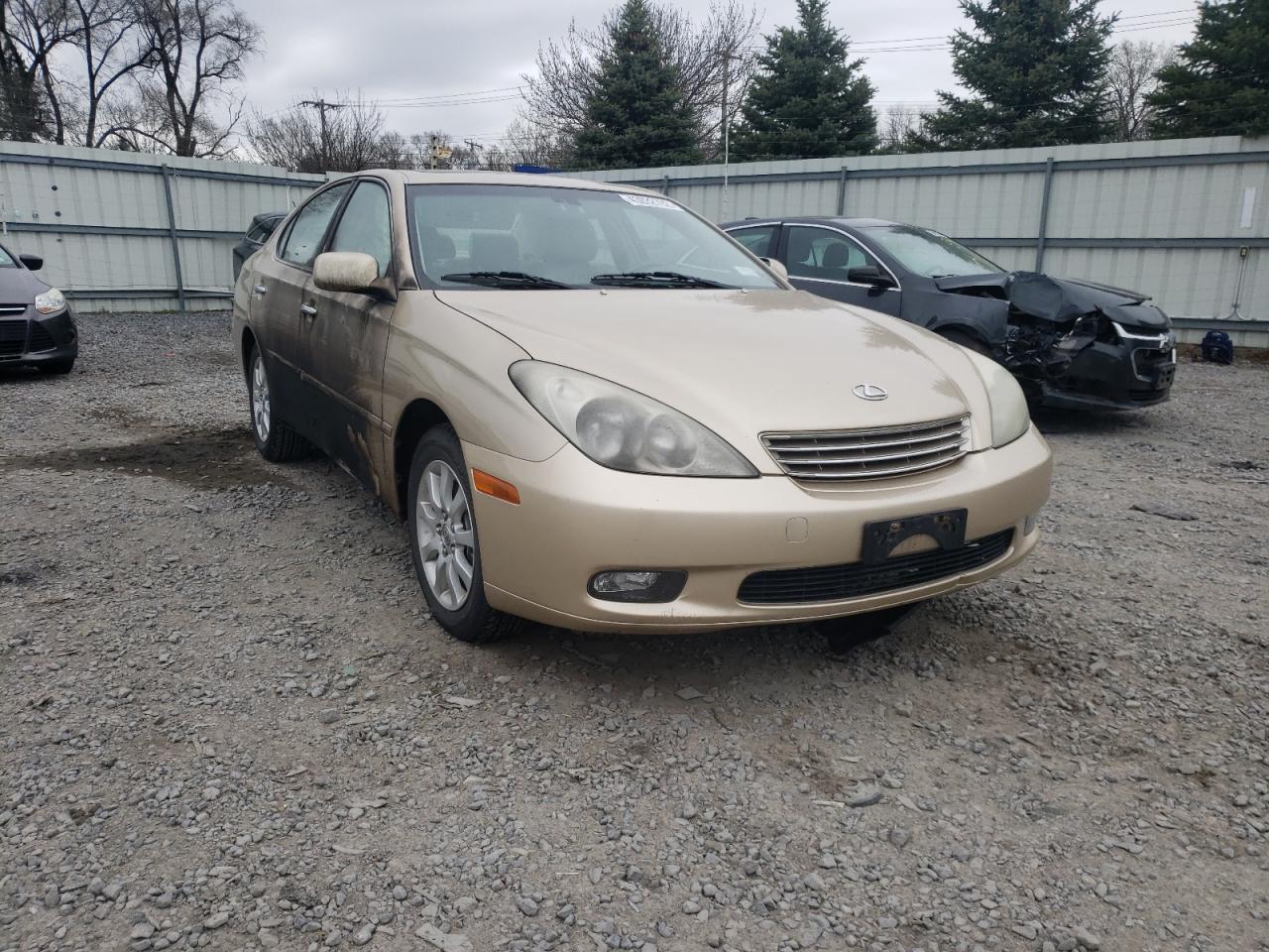 LEXUS ES 300 2003 with VIN JTHBF30G735037543 - Photo from auction