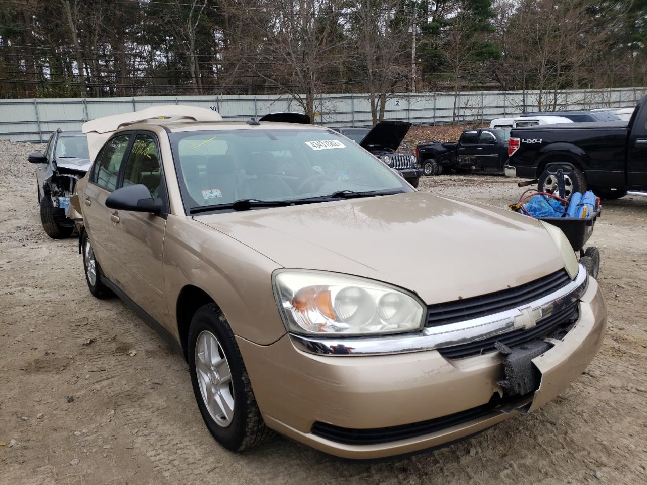 CHEVROLET MALIBU LS 2004 with VIN 1G1ZT548X4F117446 - Photo from auction