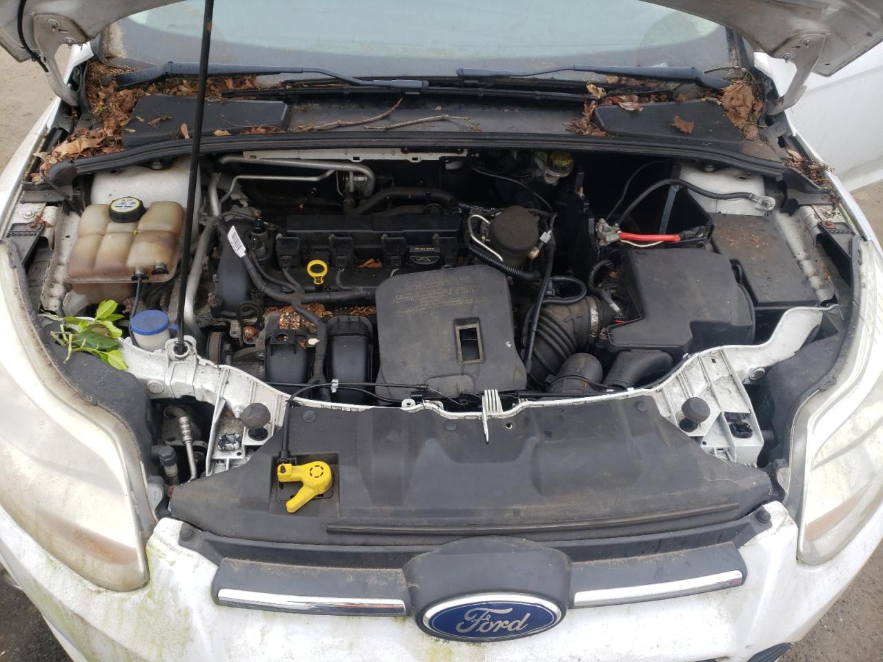 Photo 7 from auction – 2012 FORD FOCUS with VIN 1FAHP3K21CL187434