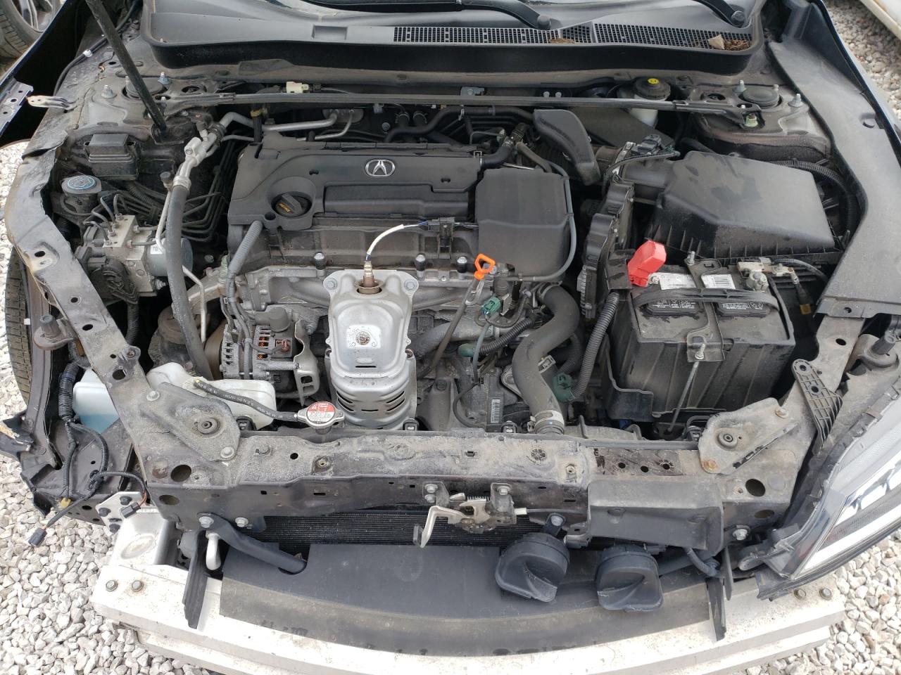 Photo 7 from auction – 2016 ACURA TLX TECH with VIN 19UUB1F56GA010719