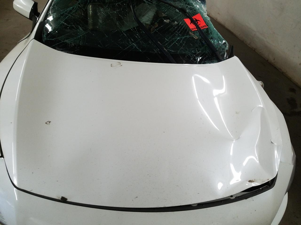 Photo 7 from auction – 2014 NISSAN MAXIMA S with VIN 1N4AA5AP6EC436681
