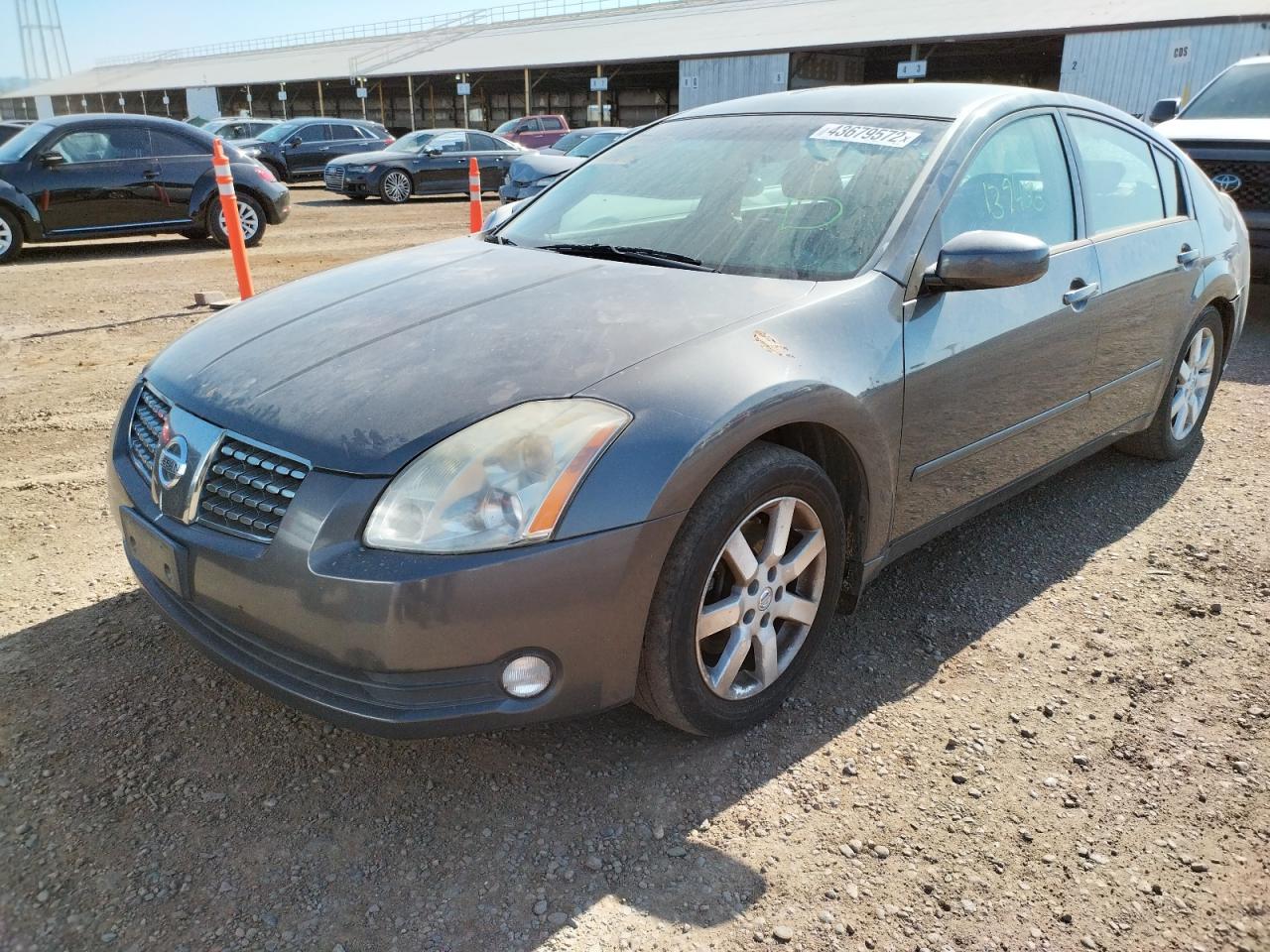 Фото 2 с аукциона – 2005 NISSAN MAXIMA SE с VIN 1N4BA41E75C878186
