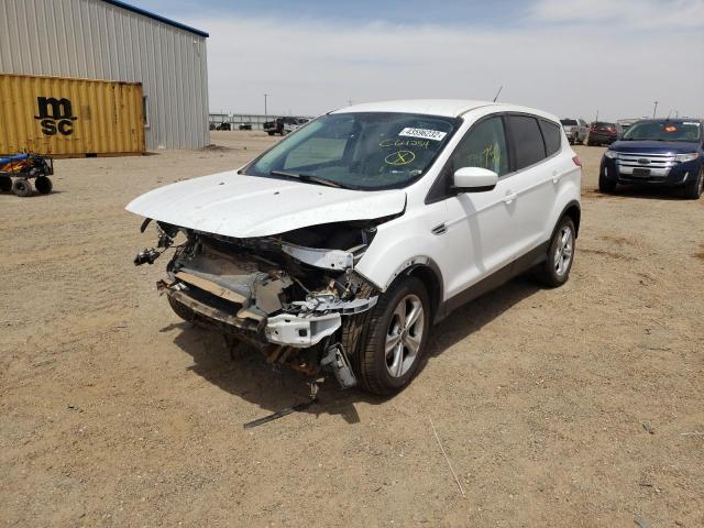 Photo 2 from auction – 2013 FORD ESCAPE SE with VIN 1FMCU0GX2DUC64254