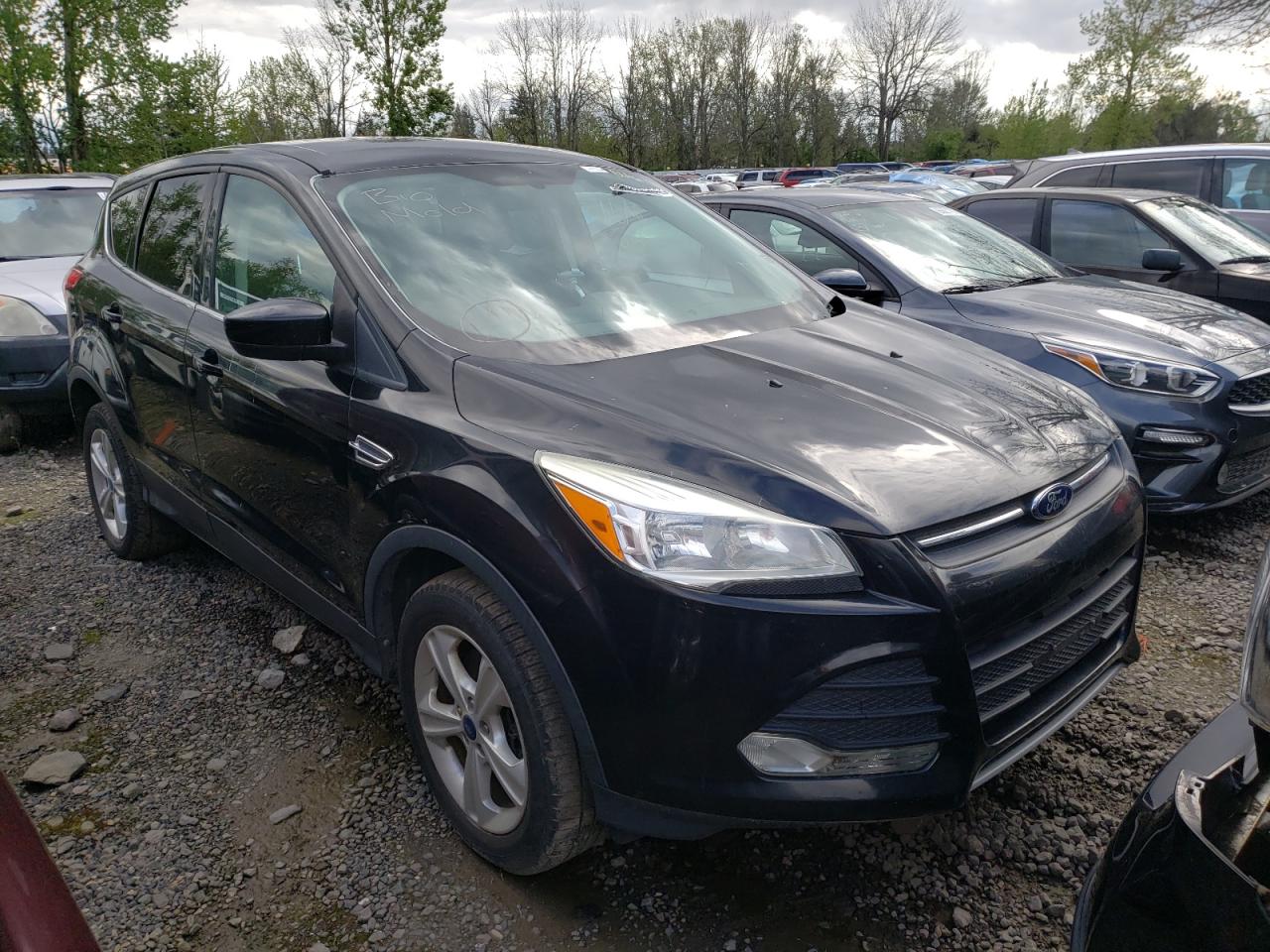 Photo 1 from auction – 2013 FORD ESCAPE SE with VIN 1FMCU9G99DUD18915