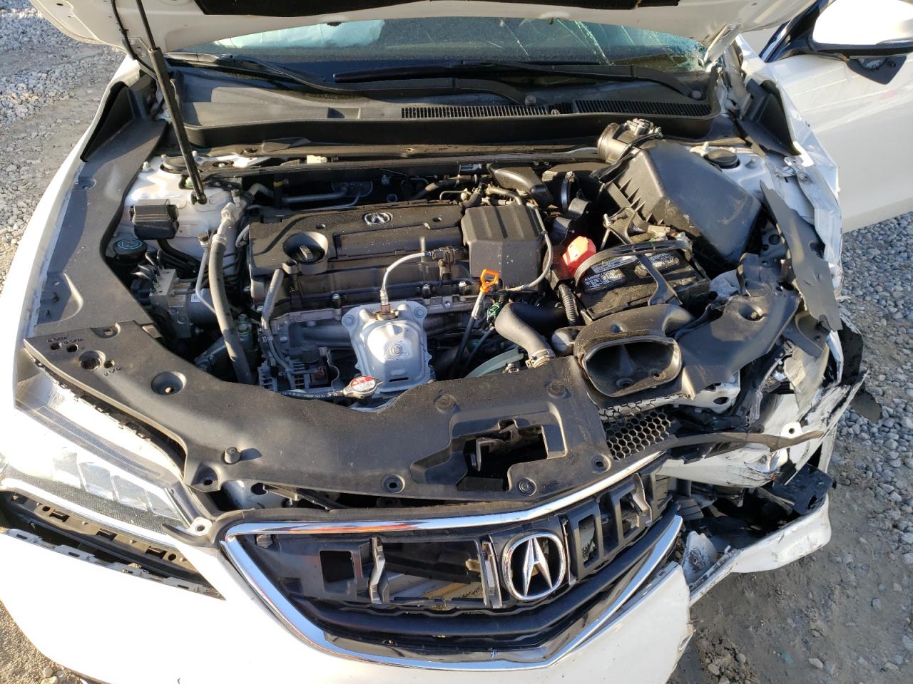 Photo 7 from auction – 2016 ACURA TLX TECH with VIN 19UUB1F57GA014374