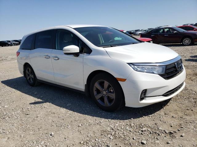 HONDA ODYSSEY EX 2021 with VIN 5FNRL6H50MB036831 - Photo from auction