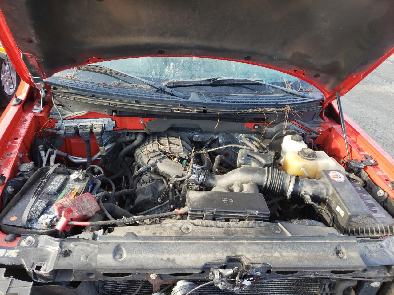 Photo 7 from auction – 2013 FORD F150 SUPER with VIN 1FTEX1EM6DFD46821