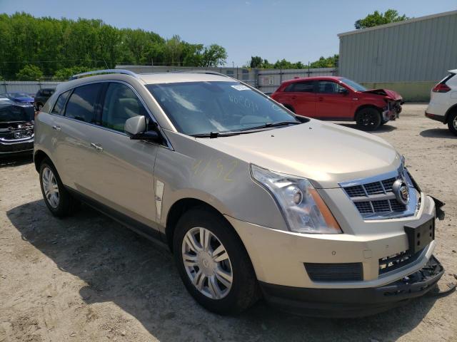 CADILLAC SRX 2010 with VIN 3GYFNAEY4AS561824 - Photo from auction