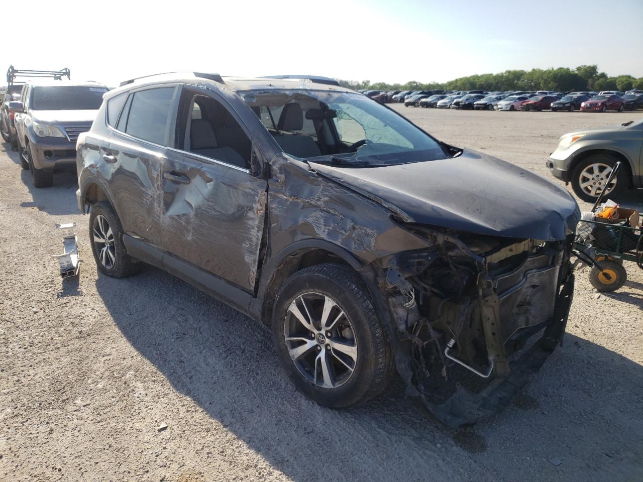 Photo 1 from auction – 2016 TOYOTA RAV4 XLE with VIN 2T3WFREV3GW239856