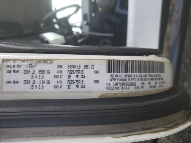 Photo 10 from auction – 1995 JEEP WRANGLER / with VIN 1J4FY19P9SP239849