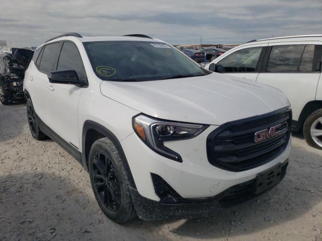 GMC TERRAIN SL 2020 with VIN 3GKALPEX6LL290251 - Photo from auction