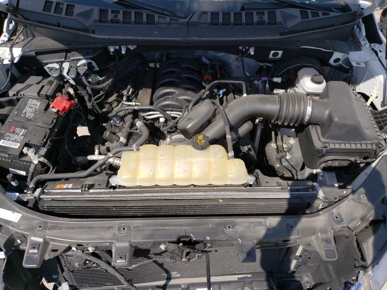 Photo 7 from auction – 2019 FORD F150 with VIN 1FTMF1C50KKE18921