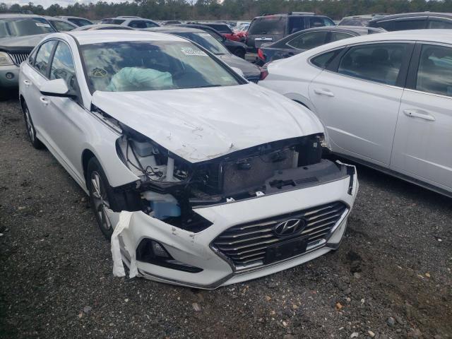 HYUNDAI SONATA SE 2019 with VIN 5NPE24AF7KH774634 - Photo from auction