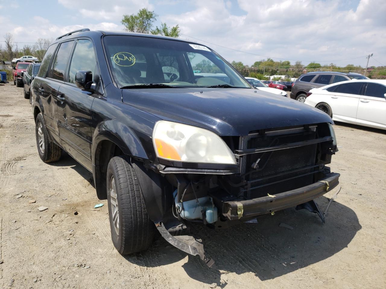 HONDA PILOT EX 2005 with VIN 5FNYF18425B009371 - Photo from auction