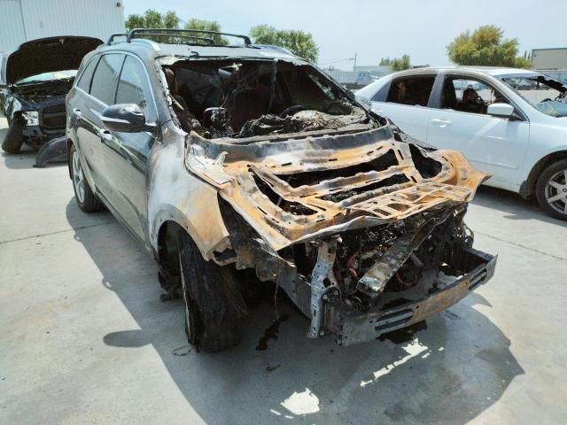 KIA SORENTO SX 2017 with VIN 5XYPKDA59HG203422 - Photo from auction