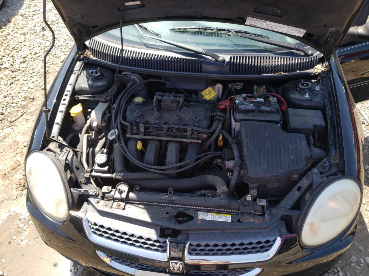 Photo 7 from auction – 2004 DODGE NEON SXT with VIN 1B3ES56C44D565026