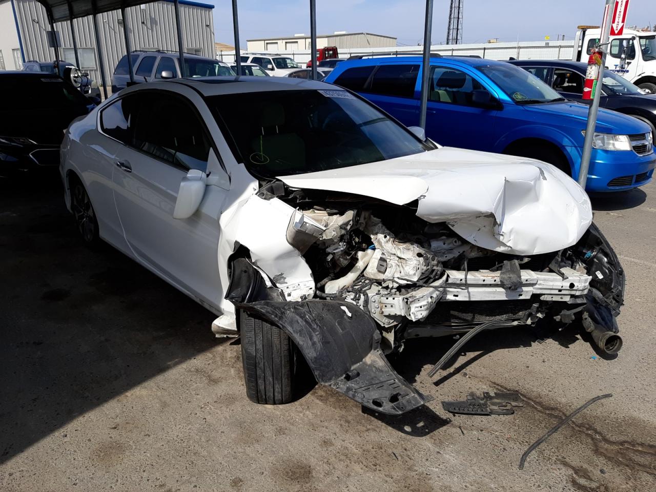 HONDA ACCORD EXL 2013 with VIN 1HGCT1B80DA010431 - Photo from auction