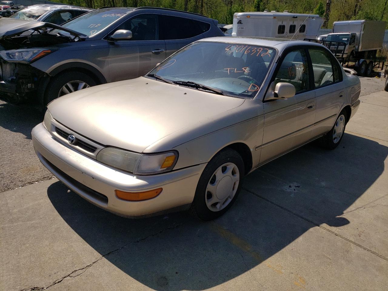 Photo 2 from auction – 1996 TOYOTA COROLLA DX with VIN 1NXBB02E8TZ456994