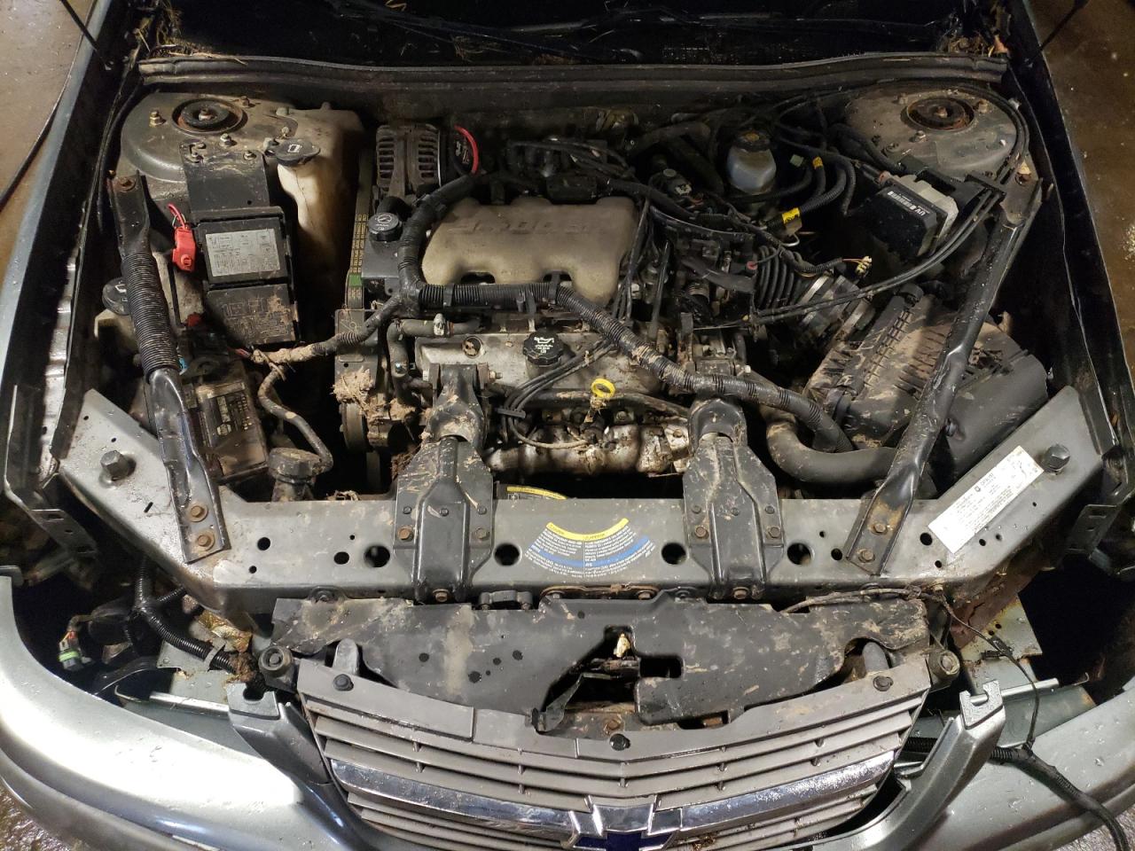 Photo 7 from auction – 2004 CHEVROLET IMPALA with VIN 2G1WF52E549287712