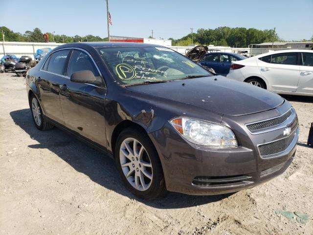 CHEVROLET MALIBU LS 2011 with VIN 1G1ZA5E16BF126147 - Photo from auction
