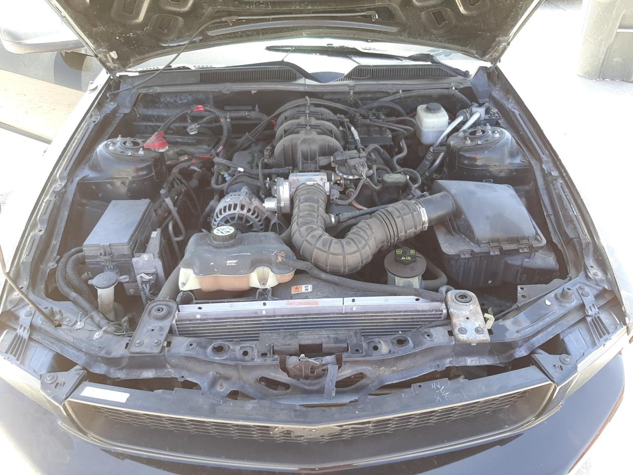 Photo 7 from auction – 2007 FORD MUSTANG with VIN 1ZVFT80N475272704