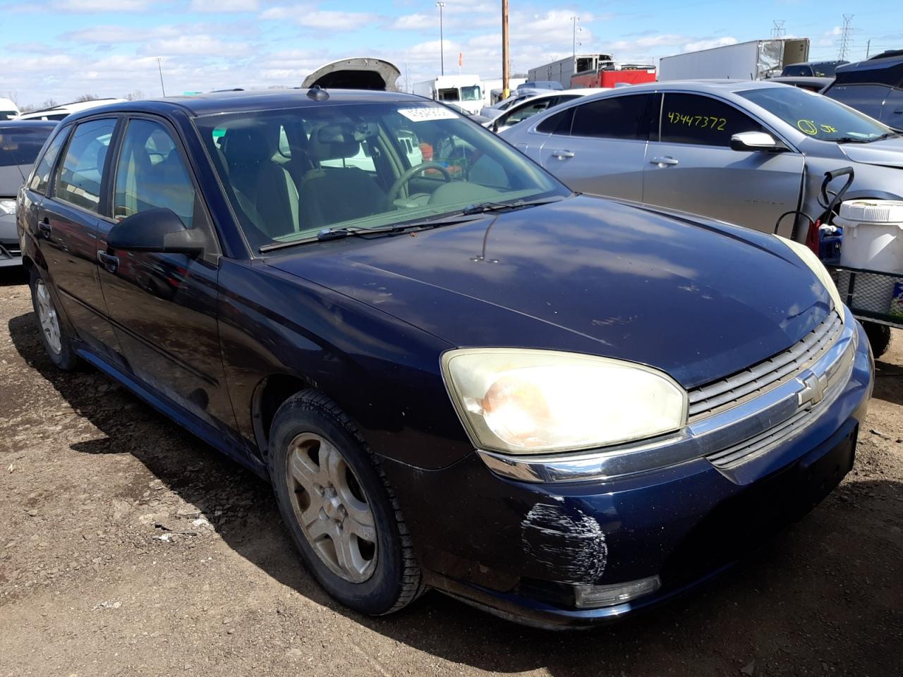 CHEVROLET MALIBU MAX 2005 with VIN 1G1ZU64895F247206 - Photo from auction