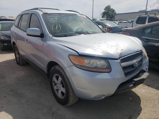 HYUNDAI SANTA FE G 2007 with VIN 5NMSG13D67H096123 - Photo from auction