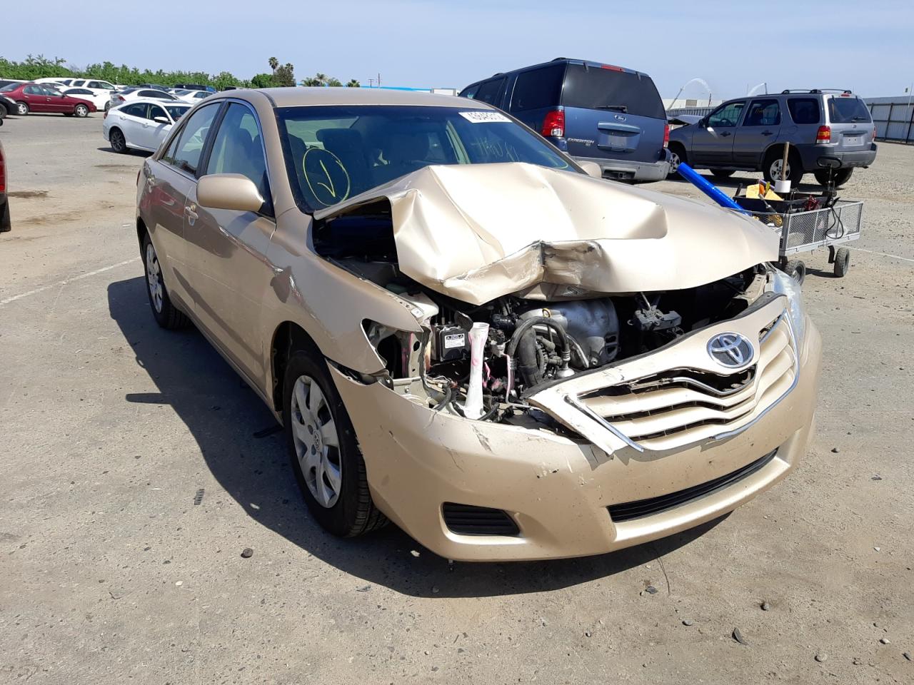 TOYOTA CAMRY BASE 2010 with VIN 4T4BF3EK2AR020233 - Photo from auction