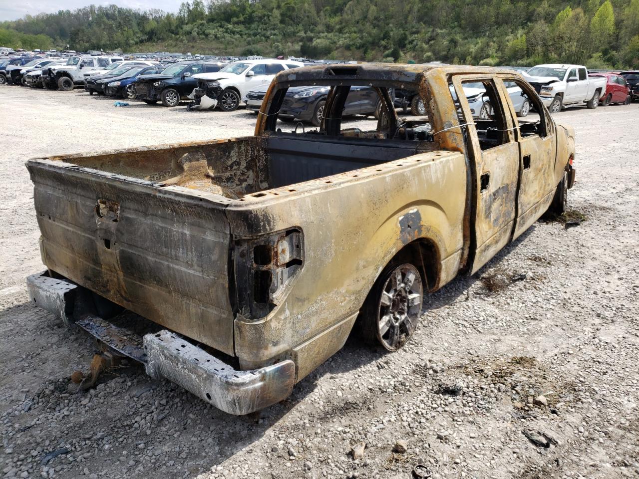 Photo 4 from auction – 2011 FORD F150 SUPER with VIN 1FTFW1ETXBFB01144