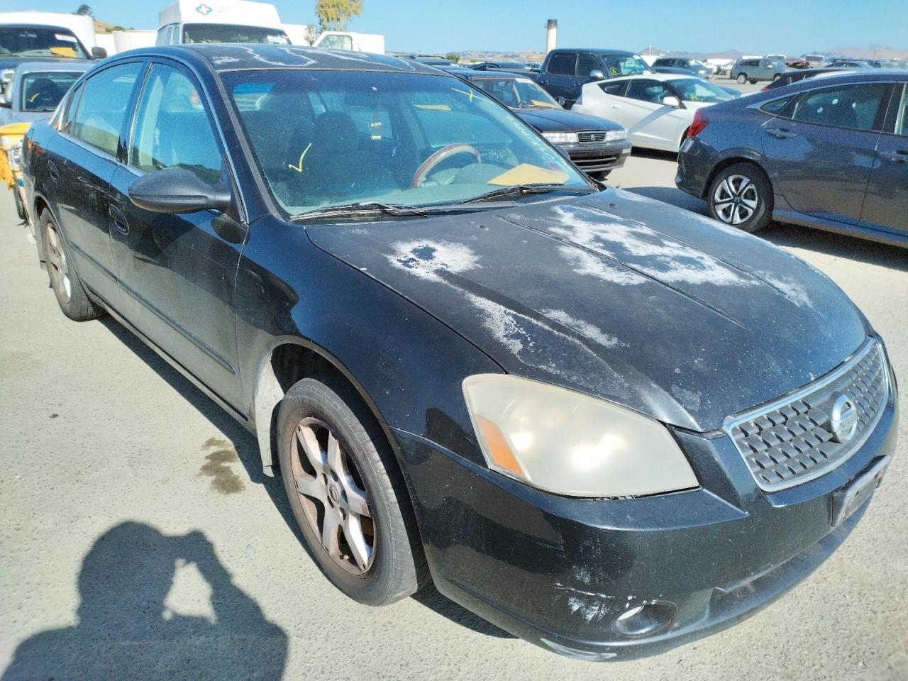 NISSAN ALTIMA S 2006 with VIN 1N4AL11D76N439488 - Photo from auction