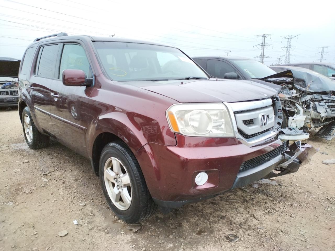 HONDA PILOT EXL 2009 with VIN 5FNYF48509B017470 - Photo from auction