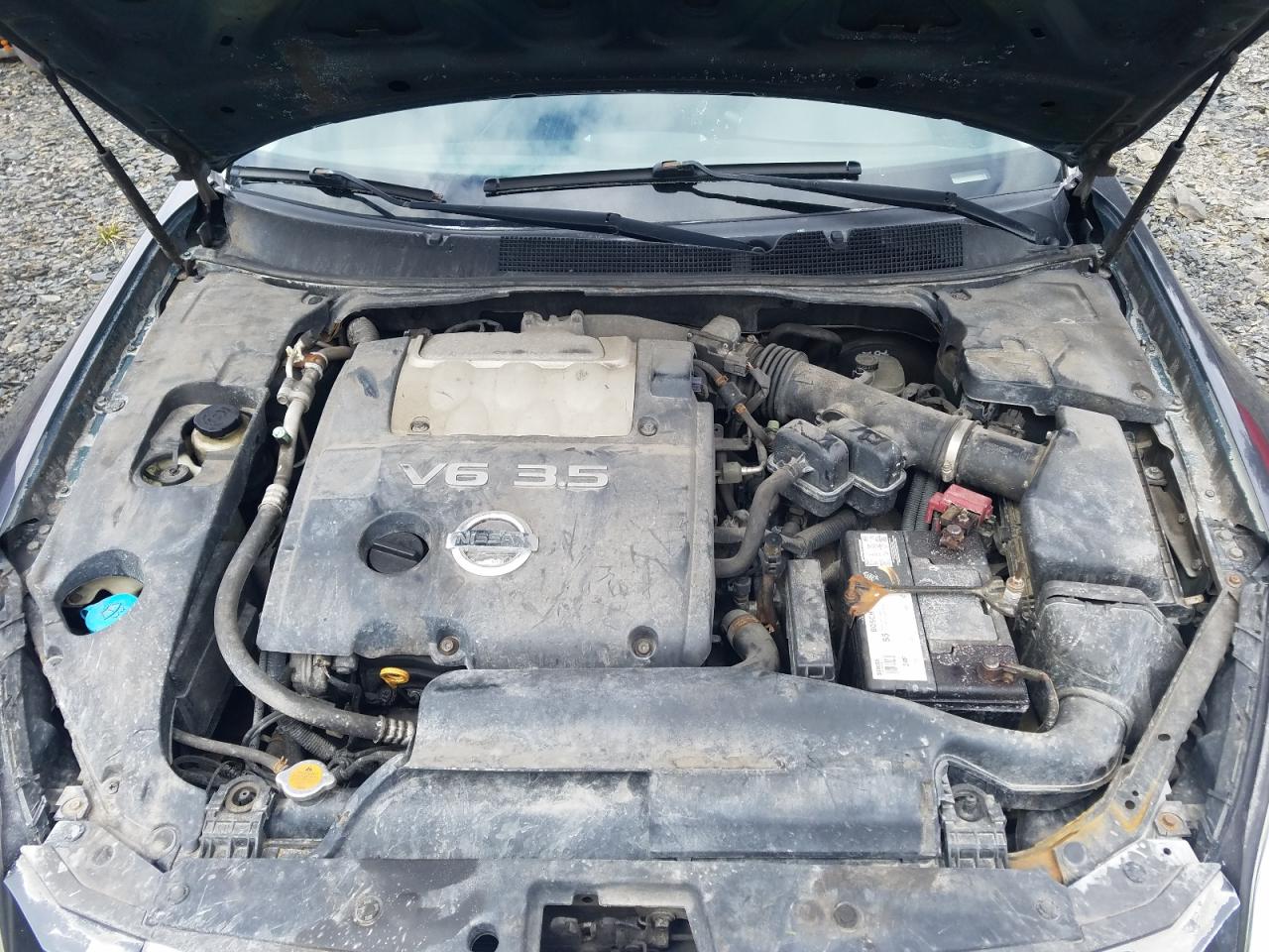 Photo 7 from auction – 2007 NISSAN MAXIMA SE with VIN 1N4BA41E07C823680