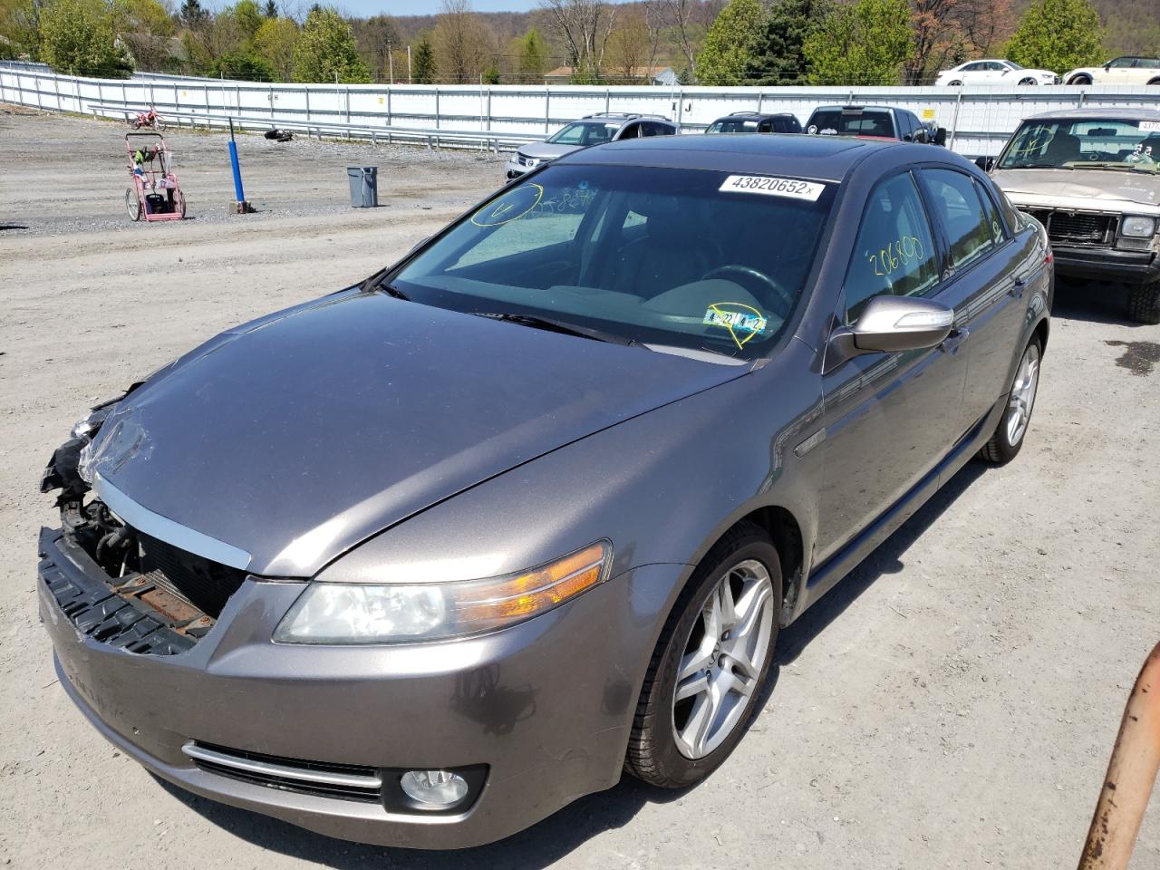 Photo 2 from auction – 2008 ACURA TL with VIN 19UUA66208A018516