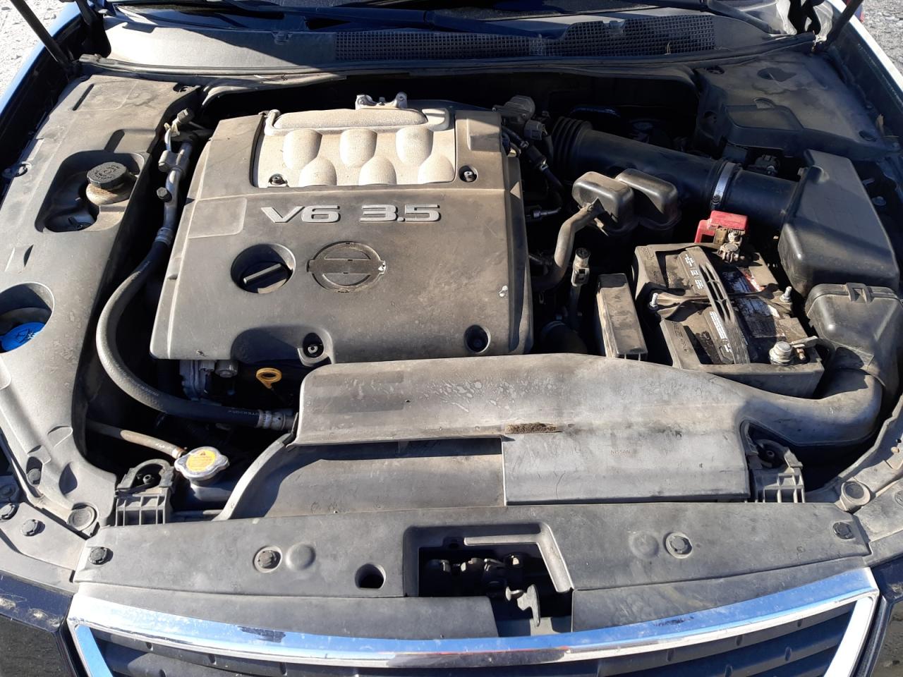 Photo 7 from auction – 2007 NISSAN MAXIMA SE with VIN 1N4BA41E77C810697