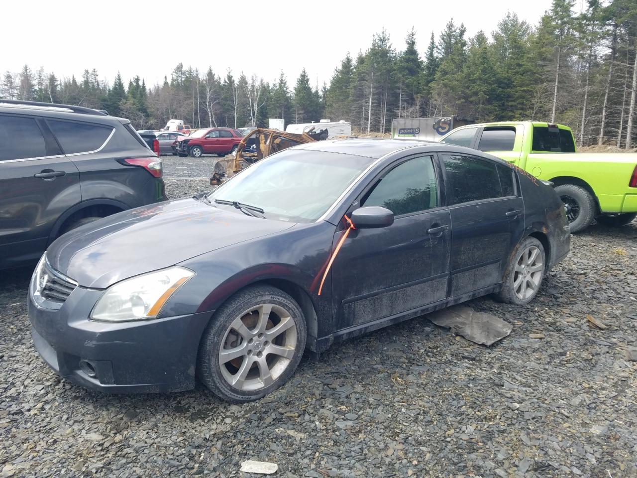 Photo 2 from auction – 2007 NISSAN MAXIMA SE with VIN 1N4BA41E07C823680