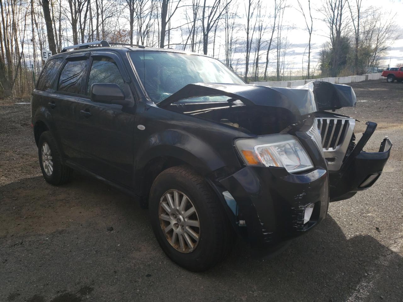 MERCURY MARINER PR 2009 with VIN 4M2CU87779KJ14429 - Photo from auction