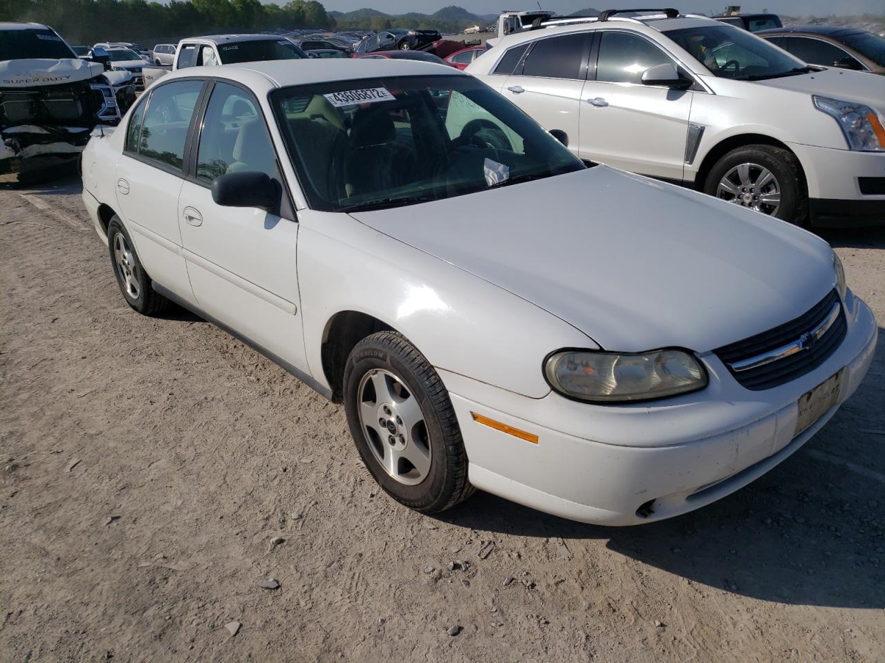 CHEVROLET CLASSIC 2004 with VIN 1G1ND52F84M634768 - Photo from auction