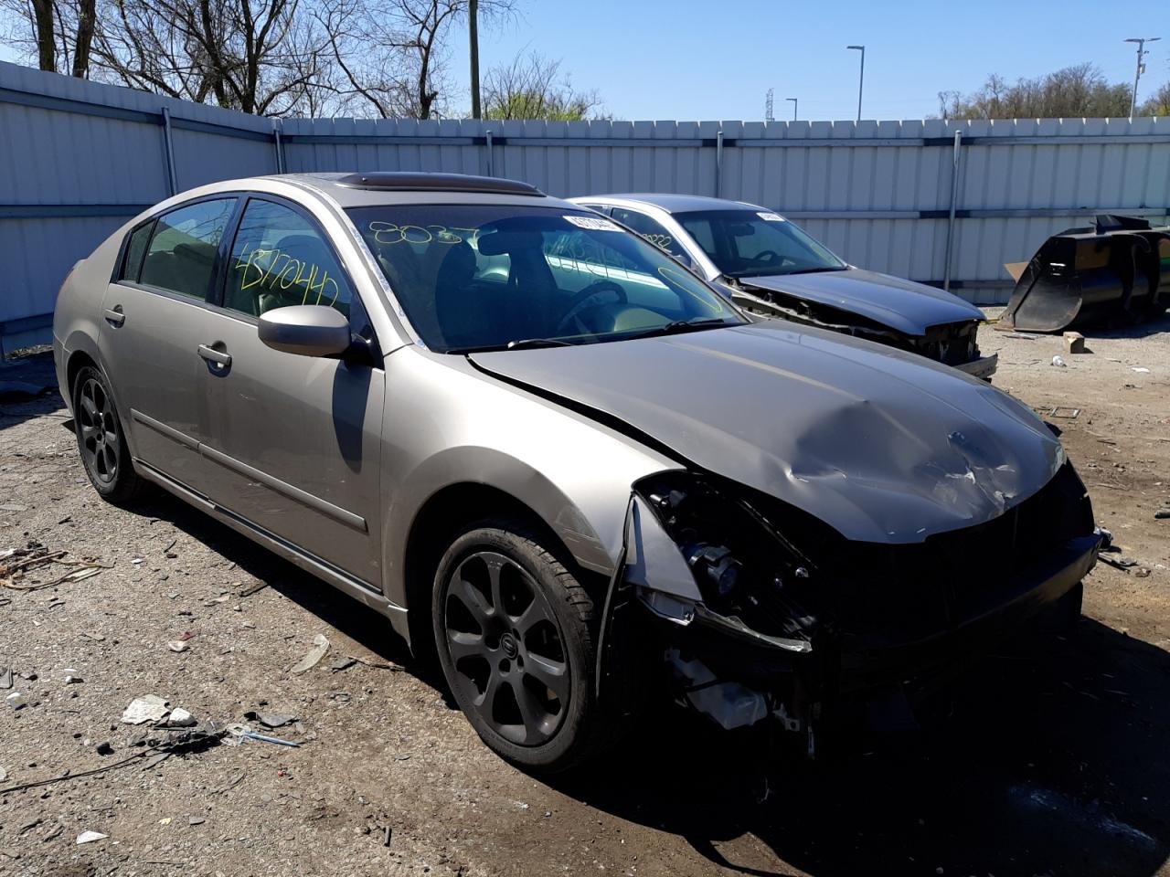 NISSAN MAXIMA SE 2008 with VIN 1N4BA41E38C818037 - Photo from auction