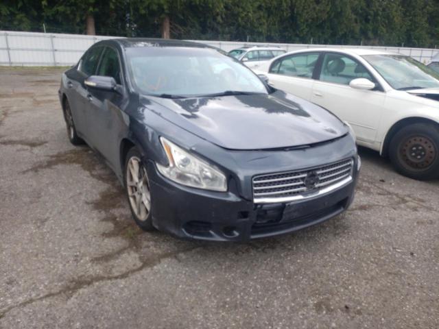 NISSAN MAXIMA S 2010 with VIN 1N4AA5AP8AC824604 - Photo from auction