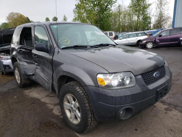 FORD ESCAPE XLT 2006 with VIN 1FMYU93116KC43129 - Photo from auction