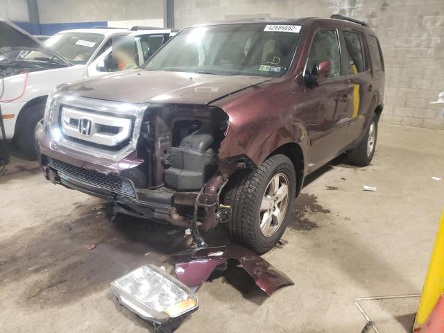 Photo 2 from auction – 2010 HONDA PILOT EXL with VIN 5FNYF4H67AB002266