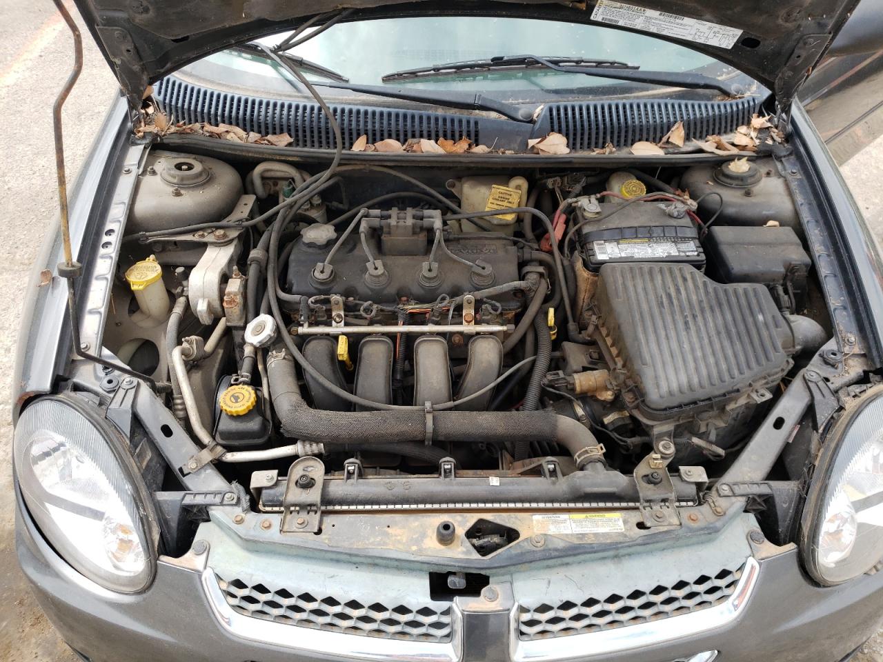 Photo 7 from auction – 2003 DODGE NEON SXT with VIN 1B3ES56C33D198408